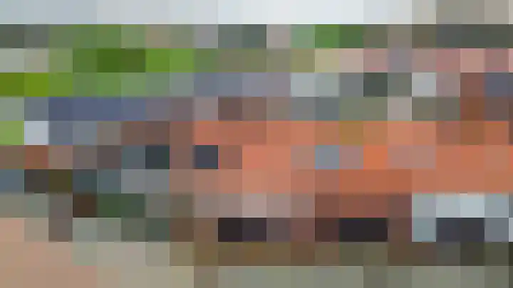 Vuurvlinder 30 's-Gravenzande thumbnail 33
