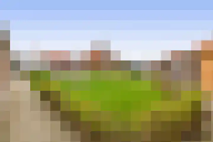 Vuurvlinder 30 's-Gravenzande thumbnail 39