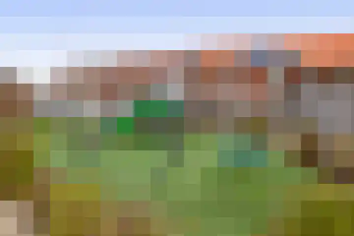 Vuurvlinder 30 's-Gravenzande thumbnail 40