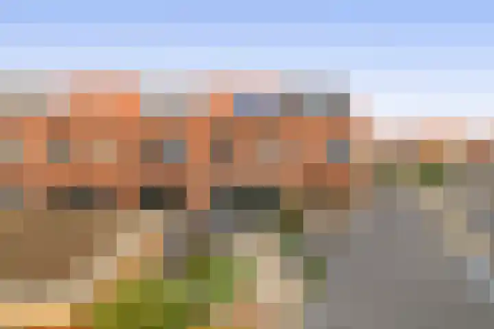 Vuurvlinder 30 's-Gravenzande thumbnail 6