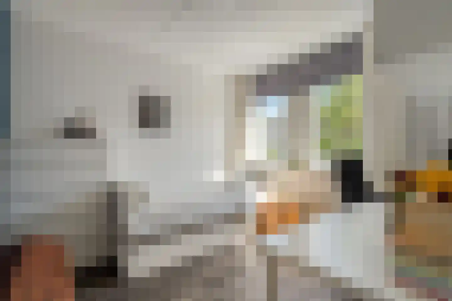 Vuurvlinder 35 Meppel thumbnail 14