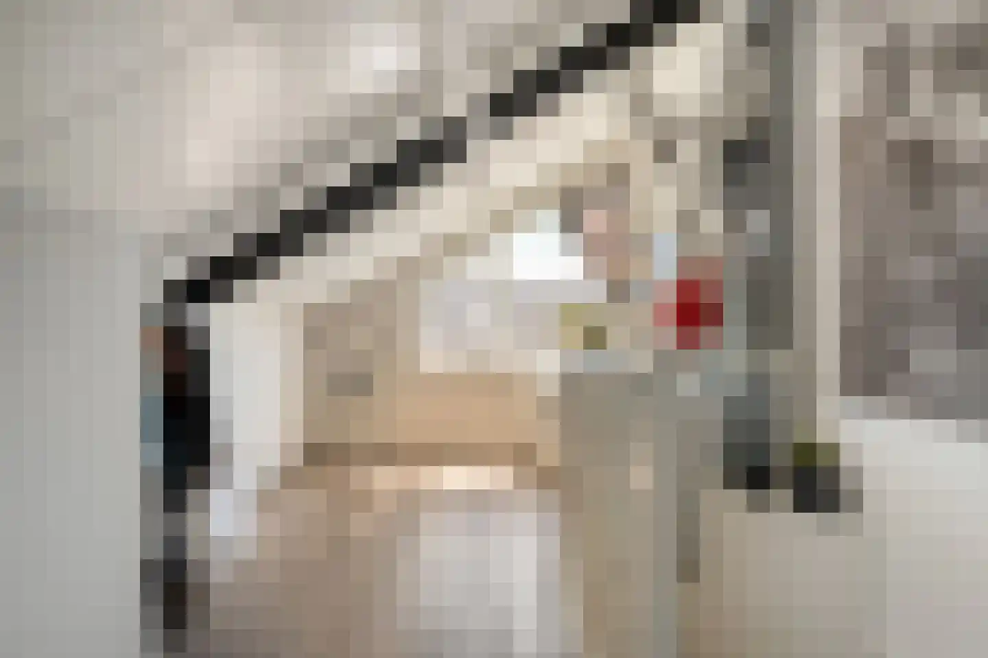 Vuurvlinder 35 Meppel thumbnail 22