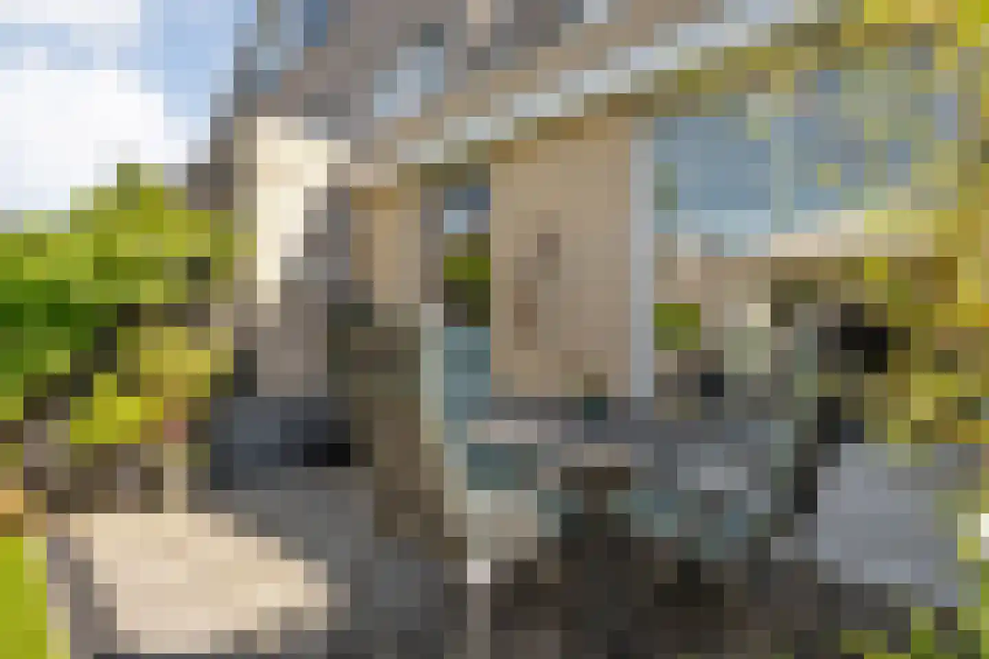 Vuurvlinder 35 Meppel thumbnail 26