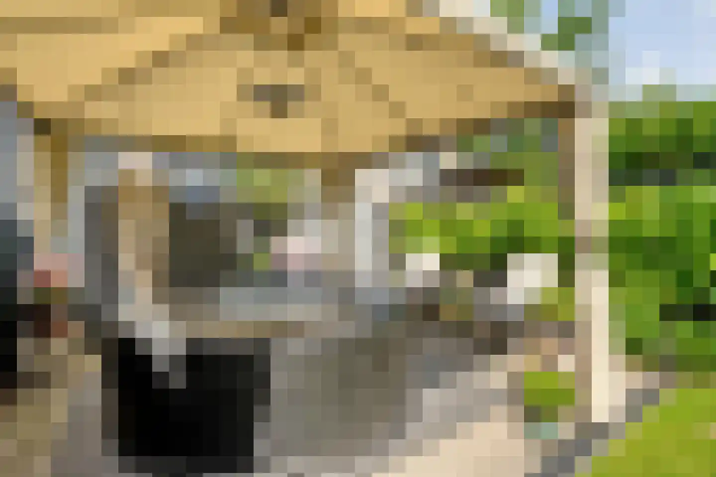 Vuurvlinder 35 Meppel thumbnail 27