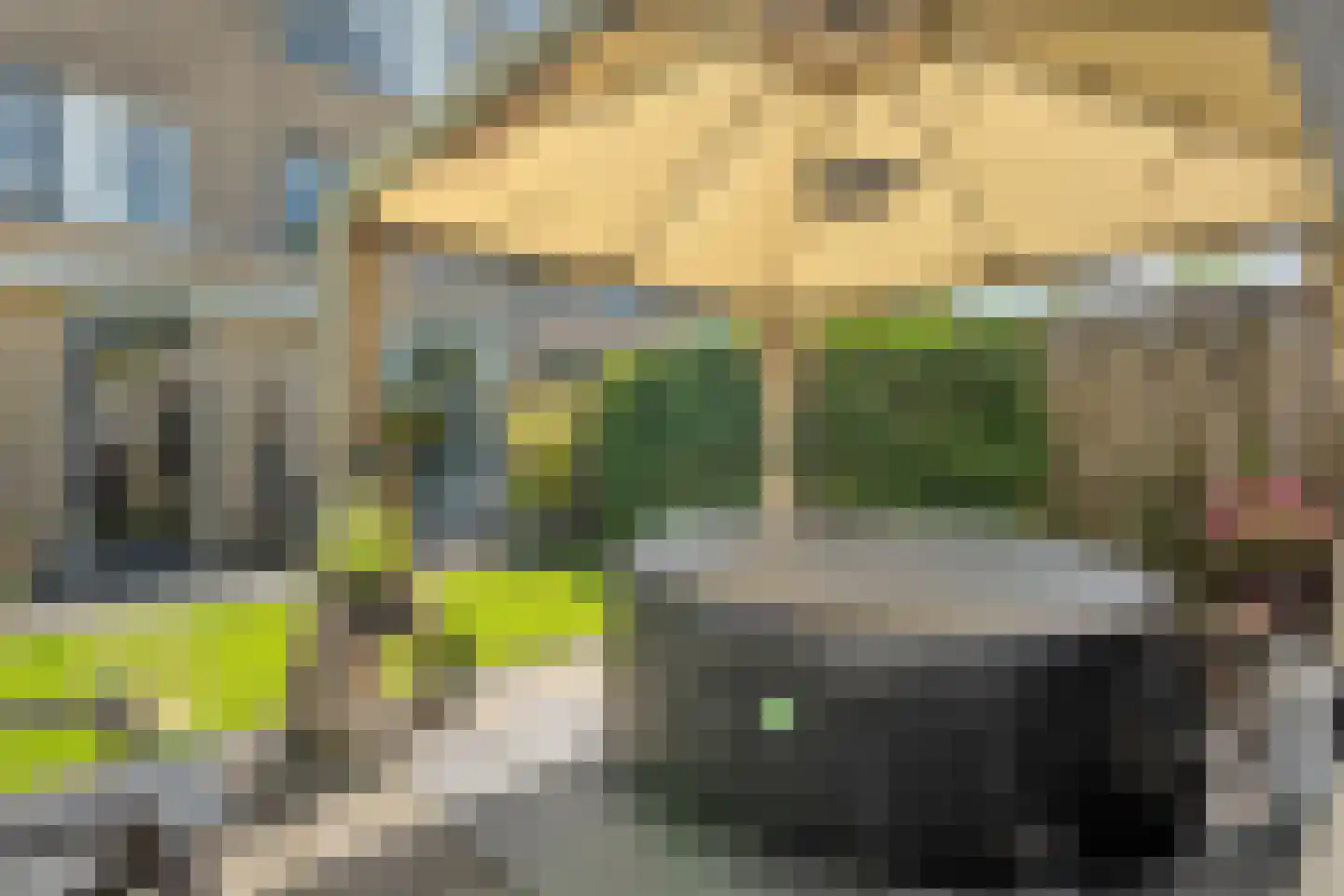 Vuurvlinder 35 Meppel thumbnail 29