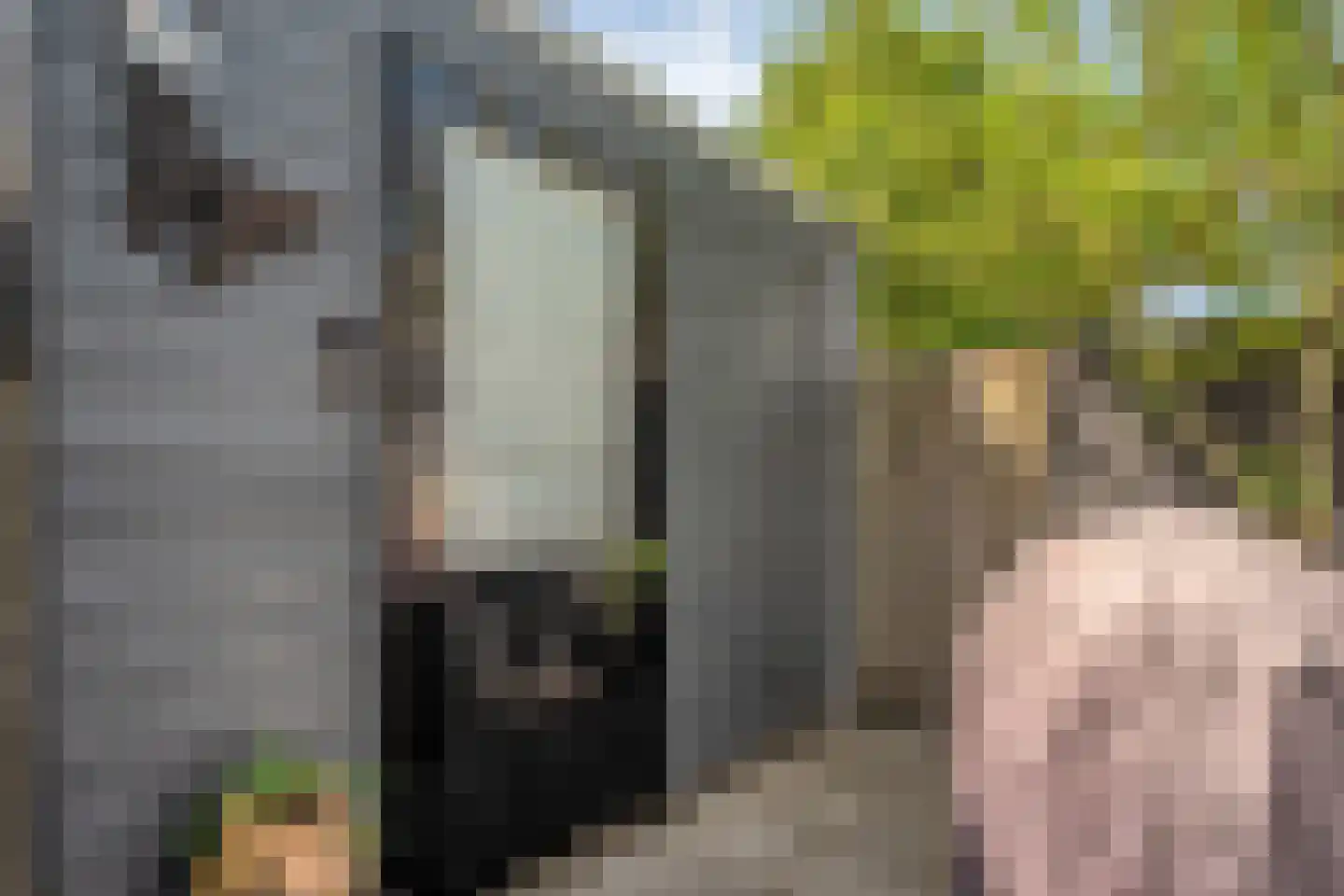 Vuurvlinder 35 Meppel thumbnail 31