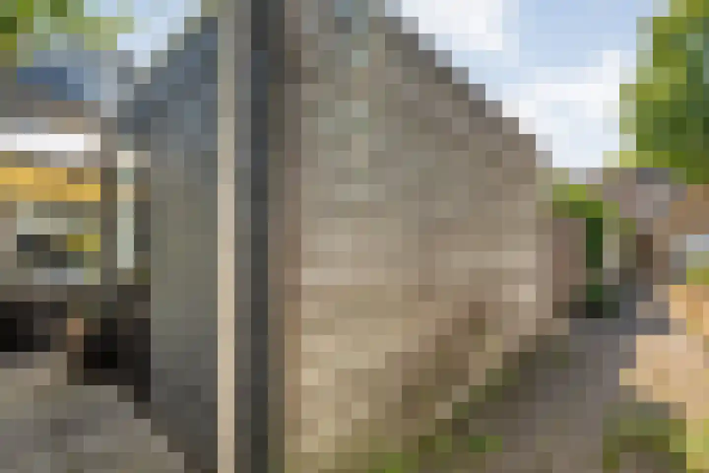Vuurvlinder 35 Meppel thumbnail 32