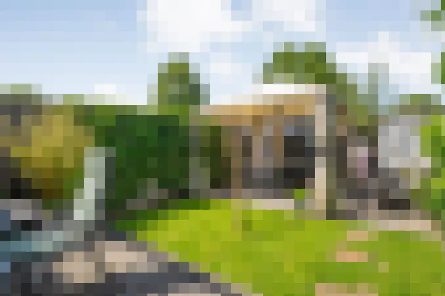 Vuurvlinder 35 Meppel thumbnail 4