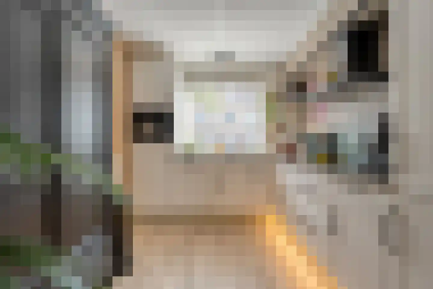 Vuurvlinder 35 Meppel thumbnail 7