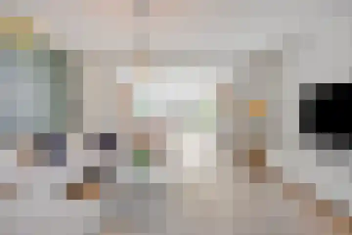 Vuurvlinder 40 Breda thumbnail 10