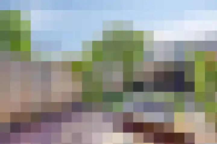Vuurvlinder 40 Breda thumbnail 16