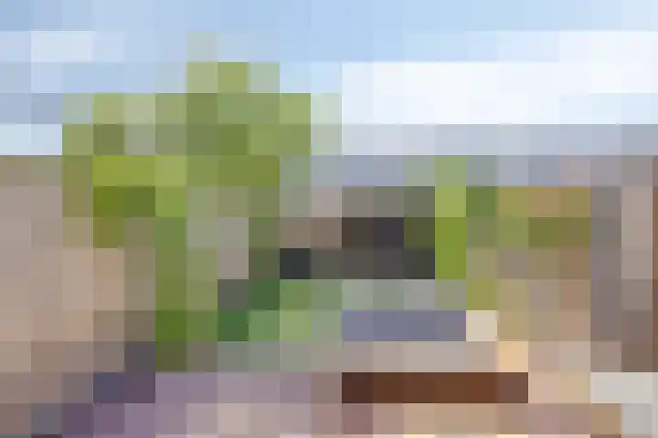 Vuurvlinder 40 Breda thumbnail 17