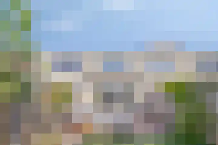 Vuurvlinder 40 Breda thumbnail 24
