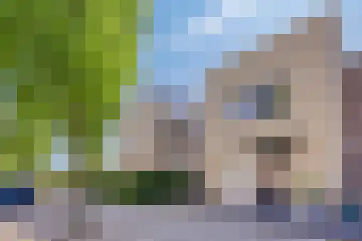Vuurvlinder 40 Breda thumbnail 4