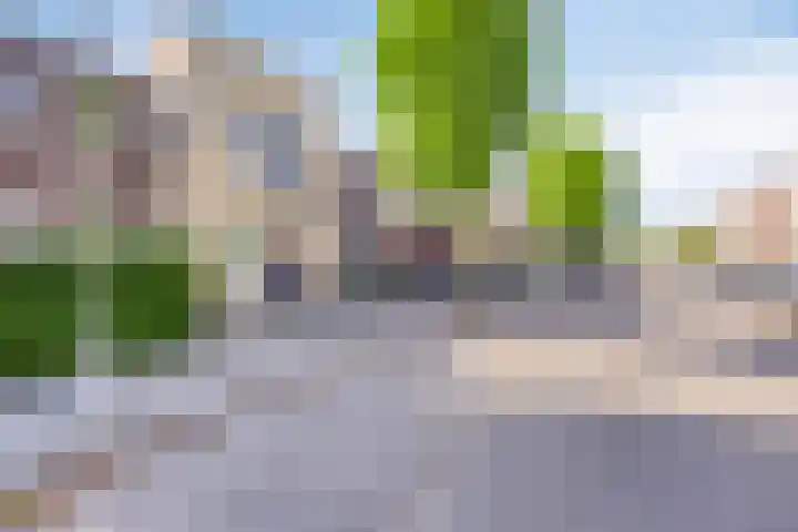 Vuurvlinder 40 Breda thumbnail 44