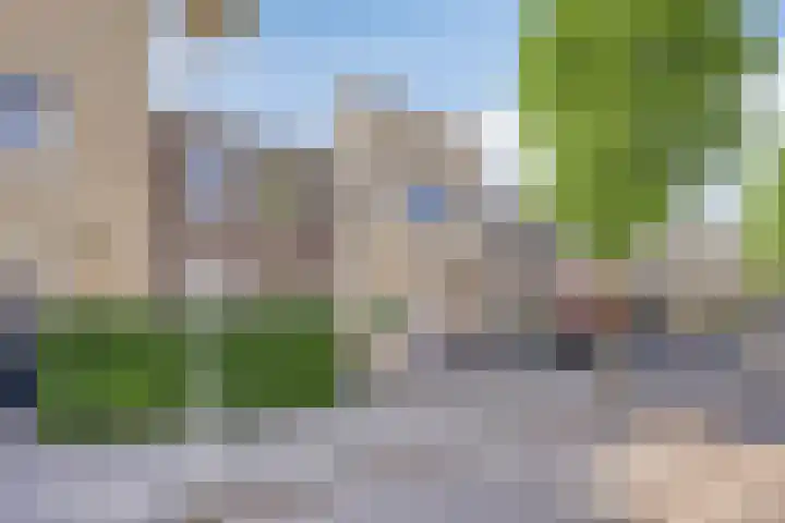 Vuurvlinder 40 Breda thumbnail 45