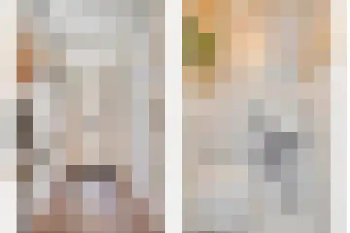 Vuurvlinder 40 Breda thumbnail 6