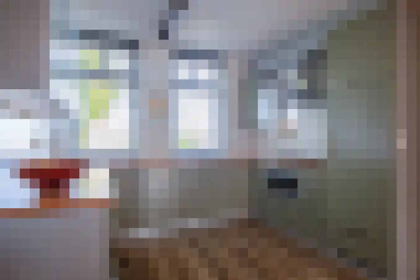 Vuurvlinder 56 Den Burg thumbnail 11