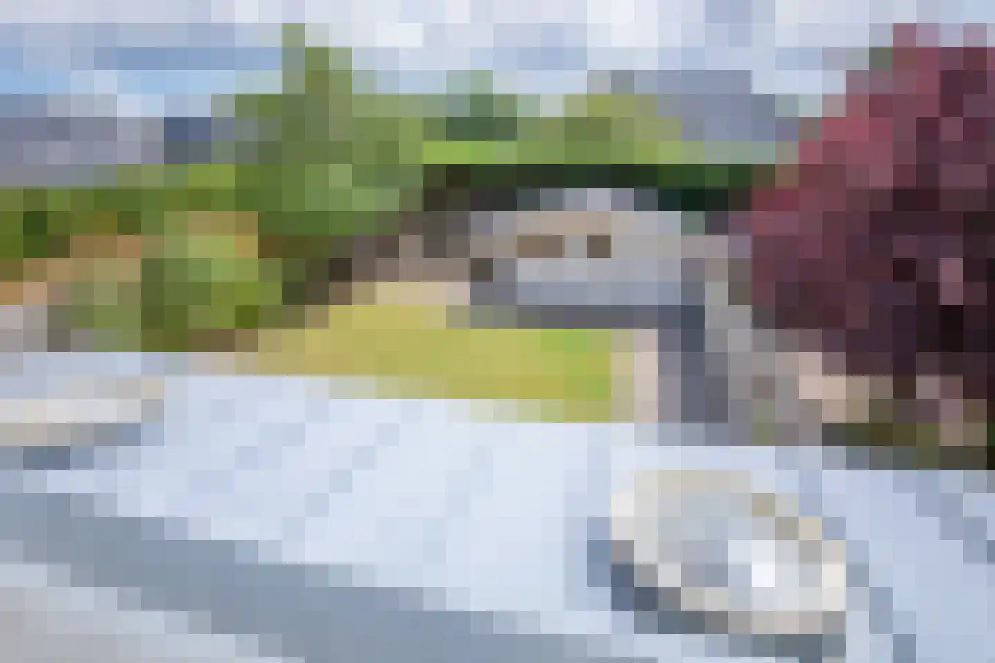 Vuurvlinder 56 Den Burg thumbnail 26