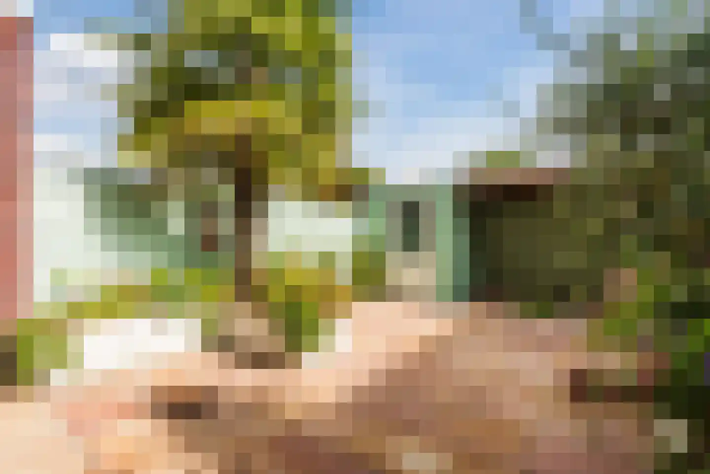 Vuurvlinder 56 Nijkerk thumbnail 7