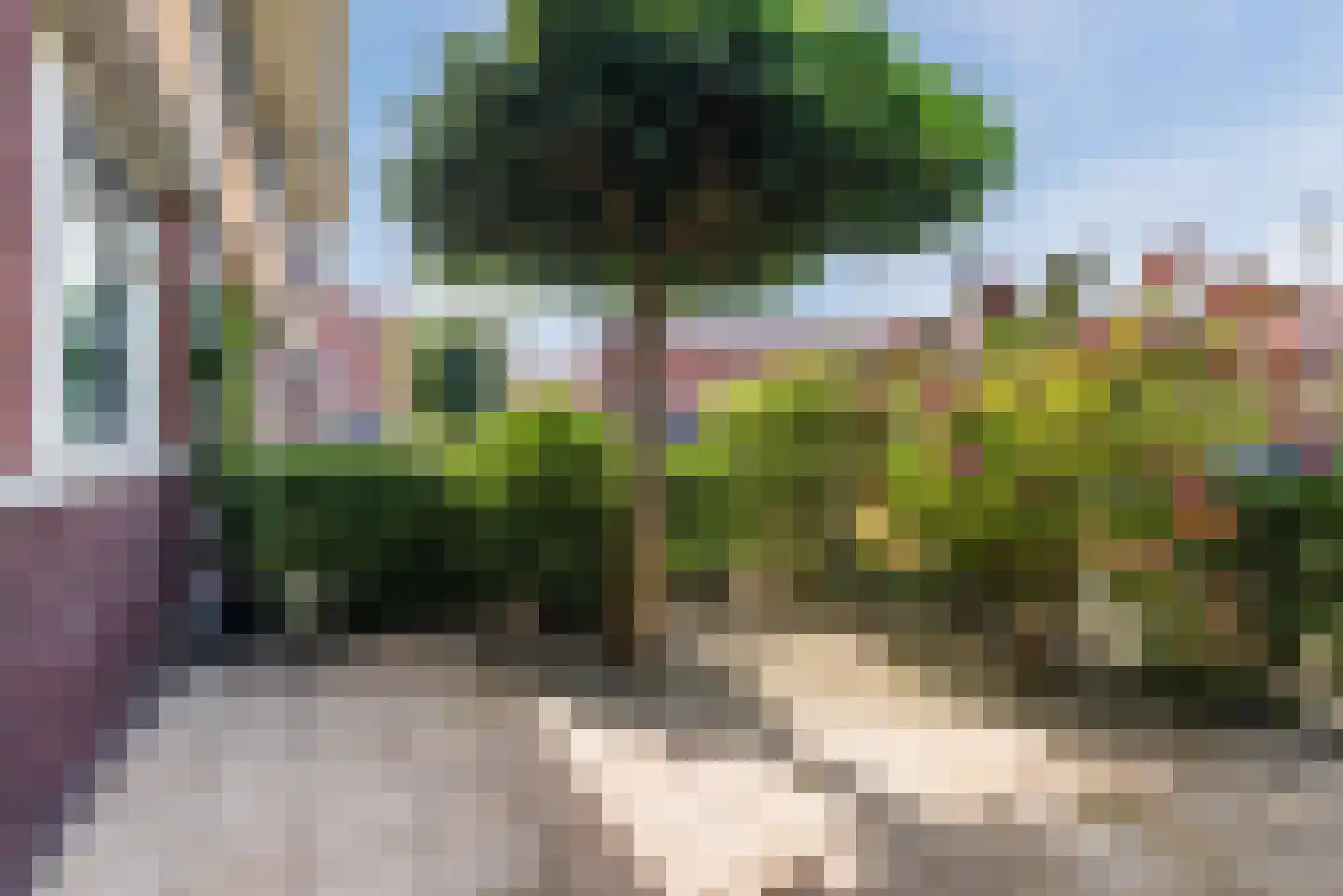 Vuurvlinder 56 Nijkerk thumbnail 8