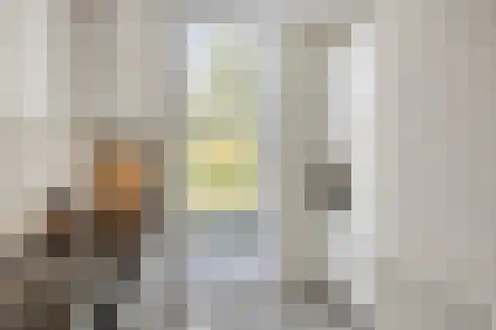 Vuurvlinder 74 Apeldoorn thumbnail 11