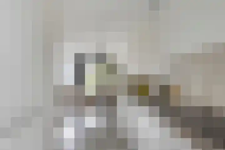 Vuurvlinder 74 Apeldoorn thumbnail 12