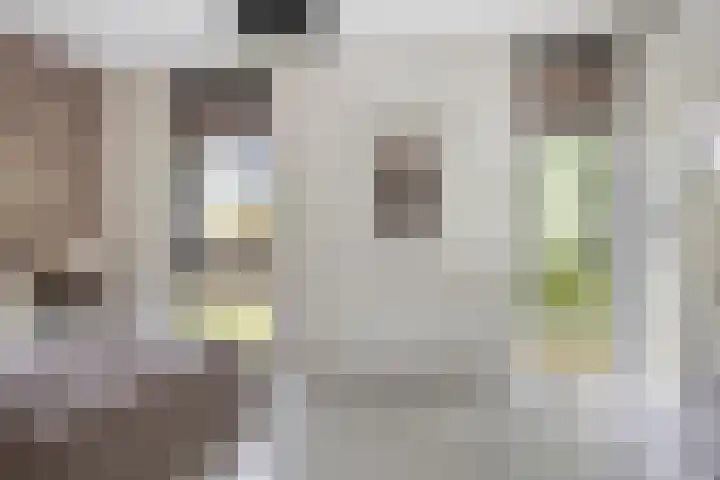 Vuurvlinder 74 Apeldoorn thumbnail 19