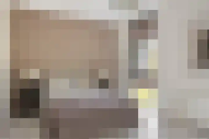 Vuurvlinder 74 Apeldoorn thumbnail 20