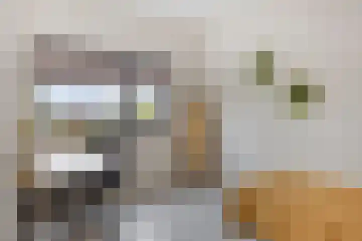 Vuurvlinder 74 Apeldoorn thumbnail 26