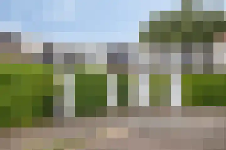 Vuurvlinder 74 Apeldoorn thumbnail 31