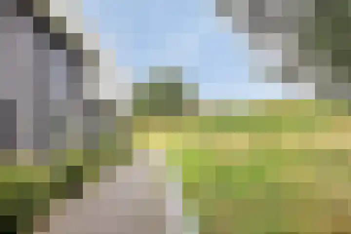 Vuurvlinder 74 Apeldoorn thumbnail 35