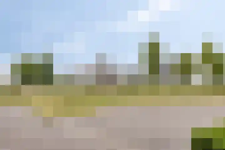 Vuurvlinder 74 Apeldoorn thumbnail 36