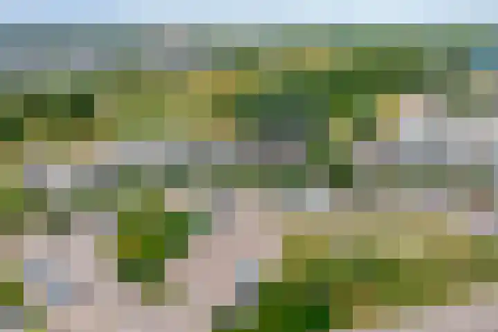 Vuurvlinder 74 Apeldoorn thumbnail 37