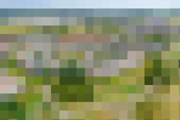 Vuurvlinder 74 Apeldoorn thumbnail 38