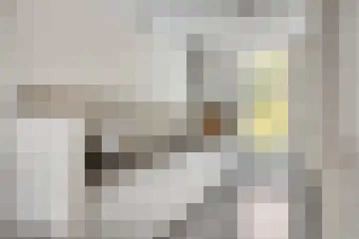 Vuurvlinder 74 Apeldoorn thumbnail 4
