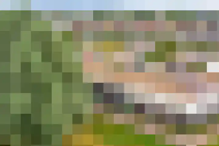 Vuurvlinder 74 Apeldoorn thumbnail 42
