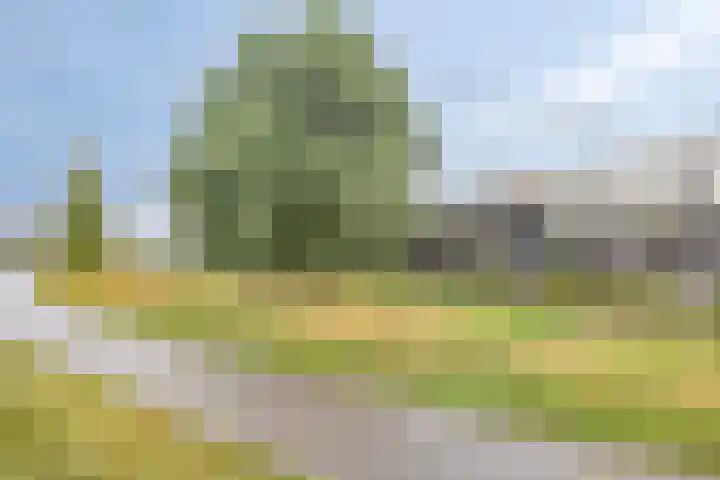Vuurvlinder 74 Apeldoorn thumbnail 44