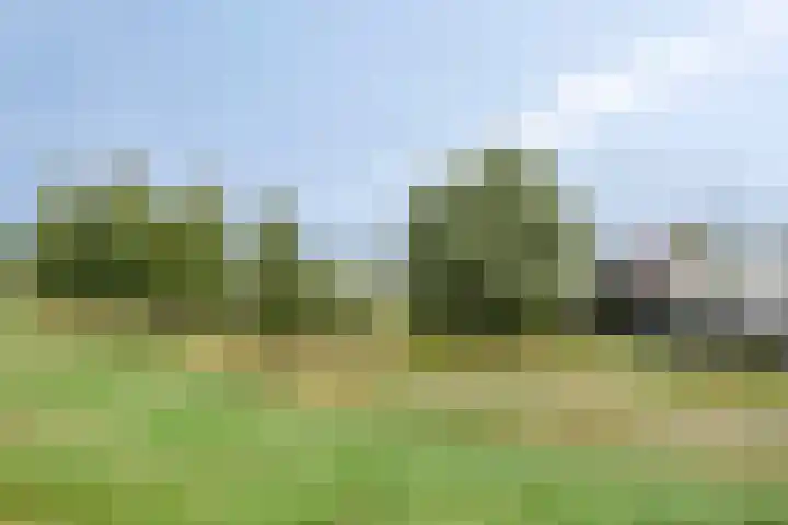 Vuurvlinder 74 Apeldoorn thumbnail 47