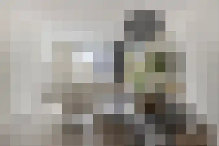 Vuurvlinder 74 Apeldoorn thumbnail 5