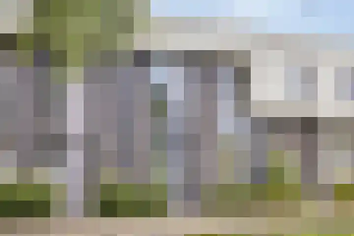 Vuurvlinder 74 Apeldoorn thumbnail 52