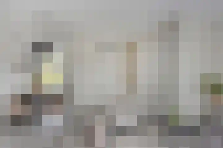 Vuurvlinder 74 Apeldoorn thumbnail 8