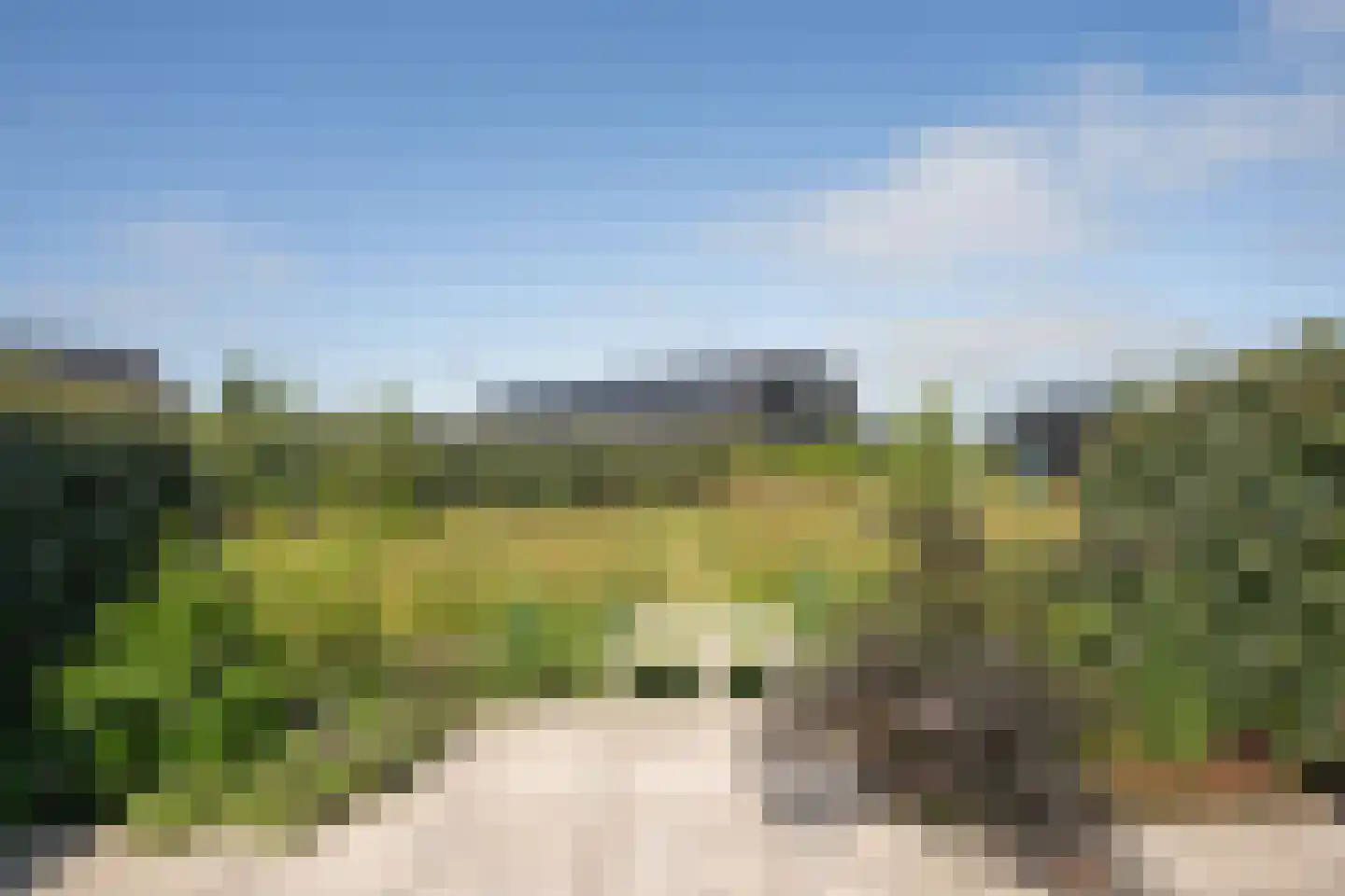 Vuurvlinder 83 Den Burg thumbnail 65