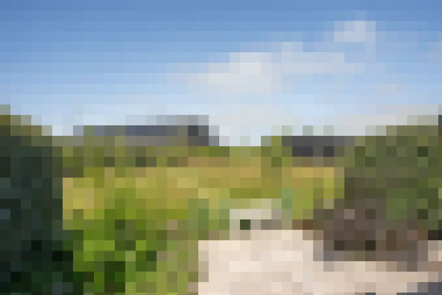 Vuurvlinder 83 Den Burg thumbnail 66