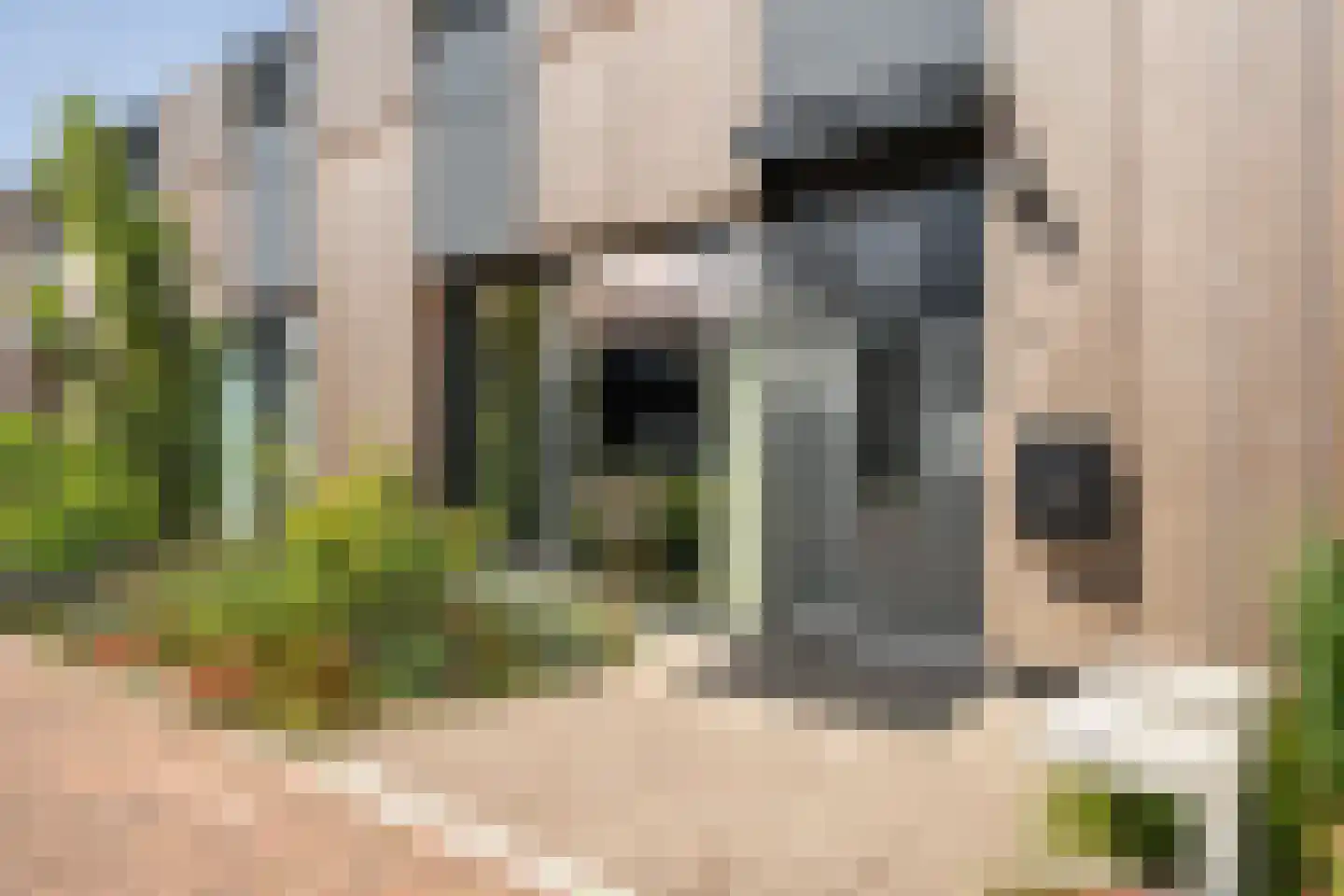 Vuurvlinder 83 Den Burg thumbnail 7