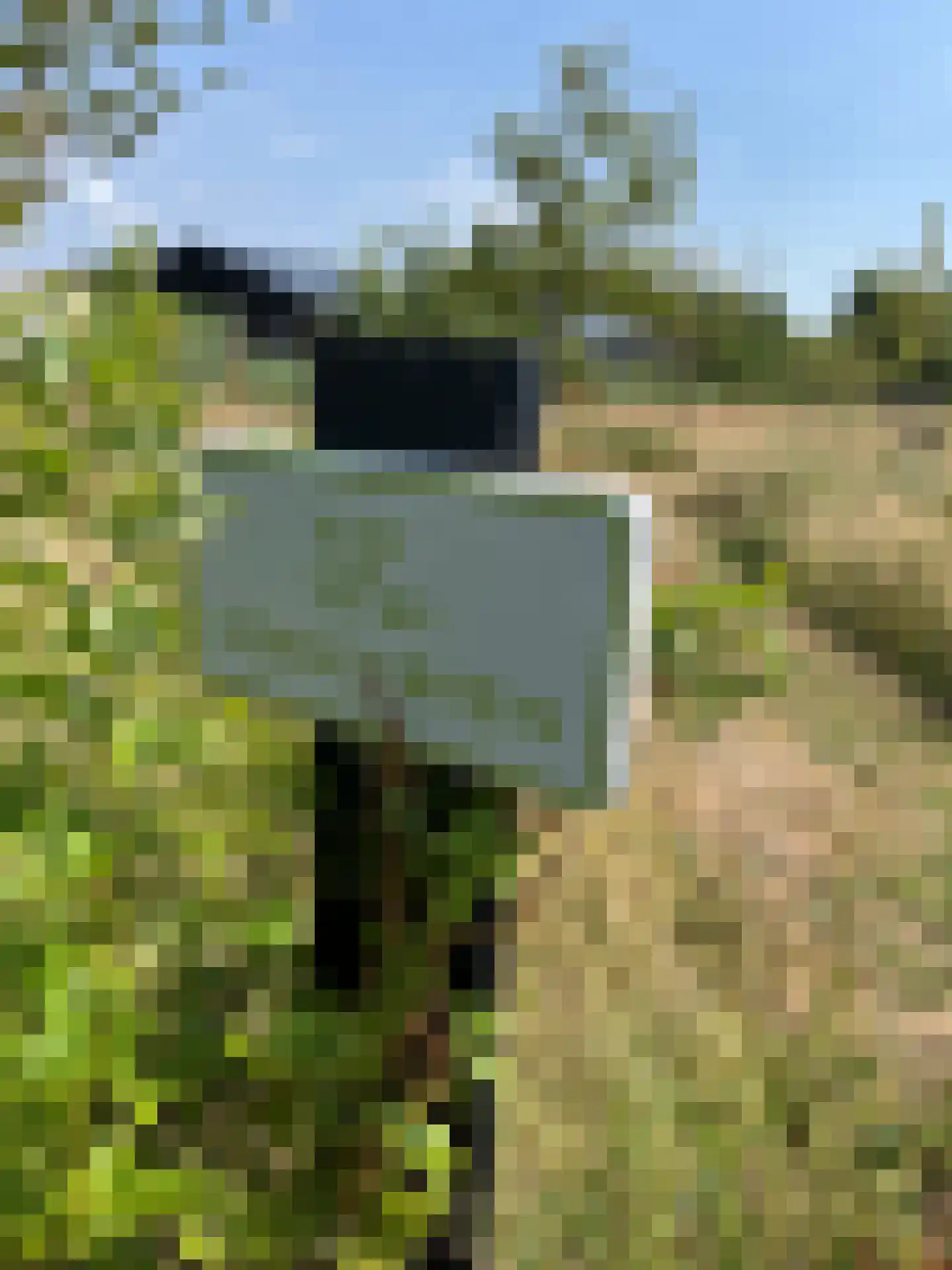 Vuurvlinder 83 Den Burg thumbnail 77
