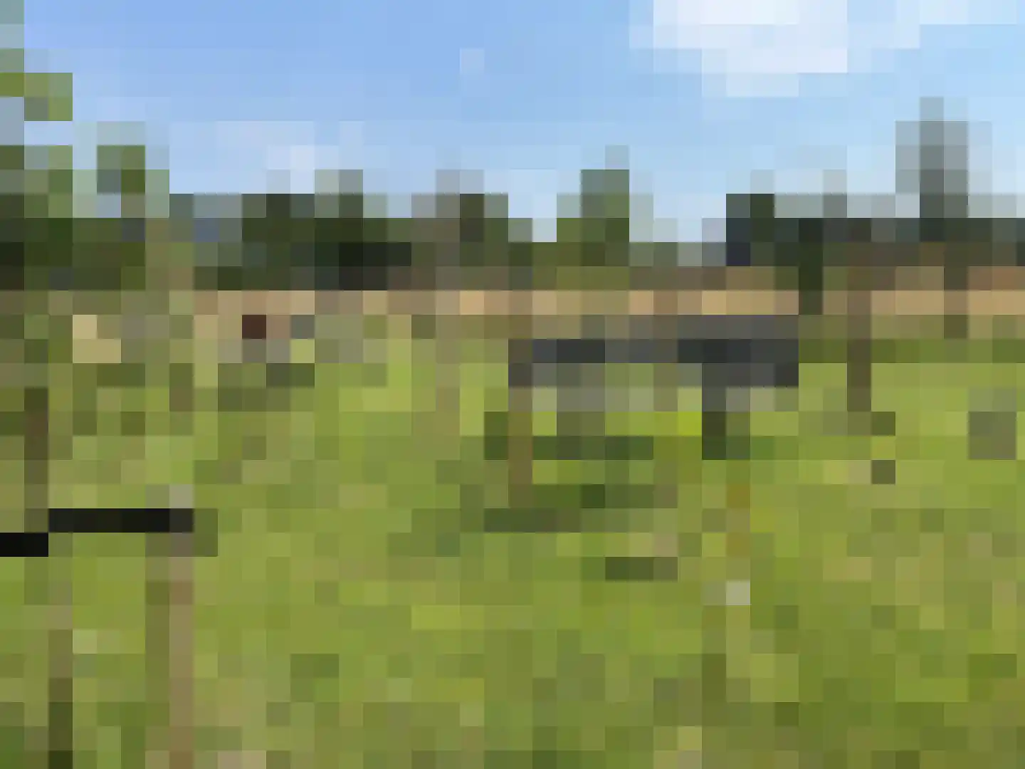 Vuurvlinder 83 Den Burg thumbnail 78