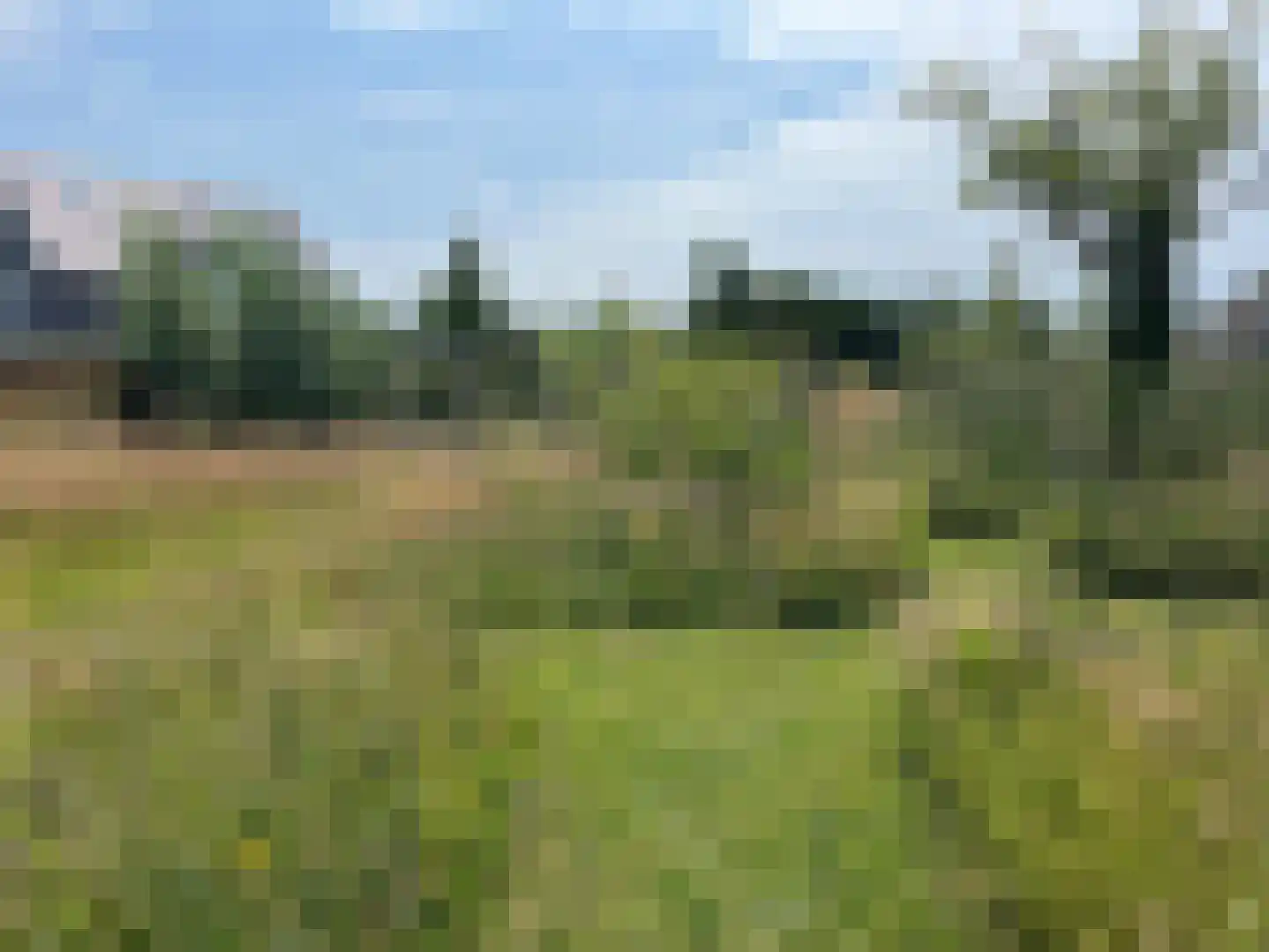 Vuurvlinder 83 Den Burg thumbnail 79