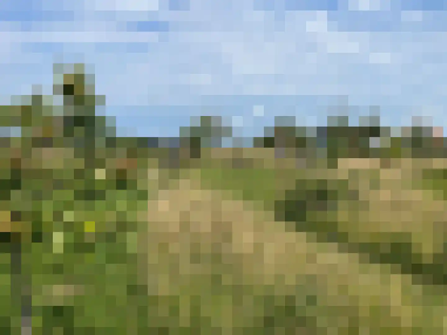 Vuurvlinder 83 Den Burg thumbnail 80