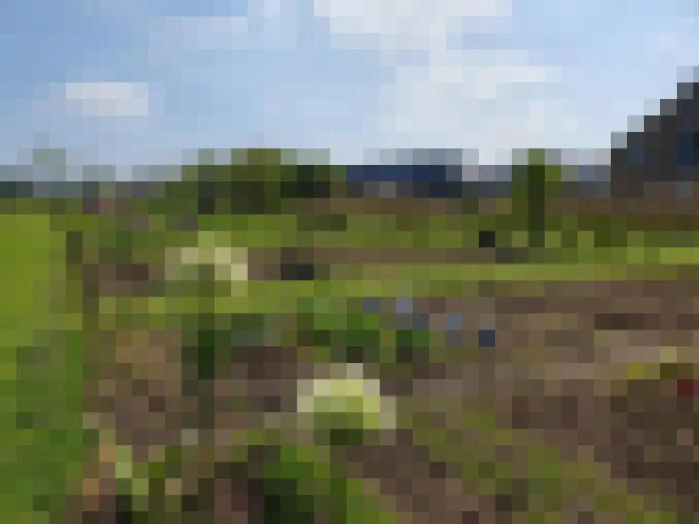 Vuurvlinder 83 Den Burg thumbnail 82